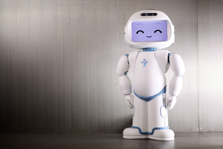 How Are Startups Redefining the Human–Robot Bond? The Rise of Relational Robotics