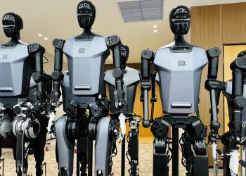 Could Humanoid Robots Become Our Companions, and How Will They Shape Human Connection?