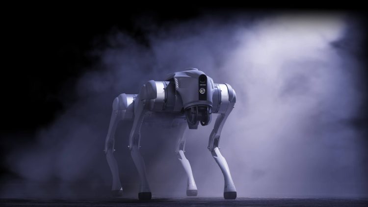 The IPO Watchlist: Which Humanoid Robotics Company Will Go Public First?